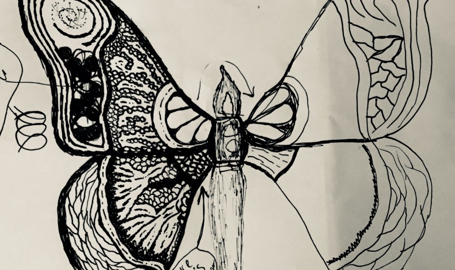 (c) 2018 Lisa Ramsey, Moth Drawing - Support Lisa Ramsey Art