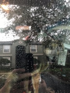 (c) 2018 Lisa Ramsey, Bella and Brian in the Uhaul, photo courtesy of Myke Ramsey