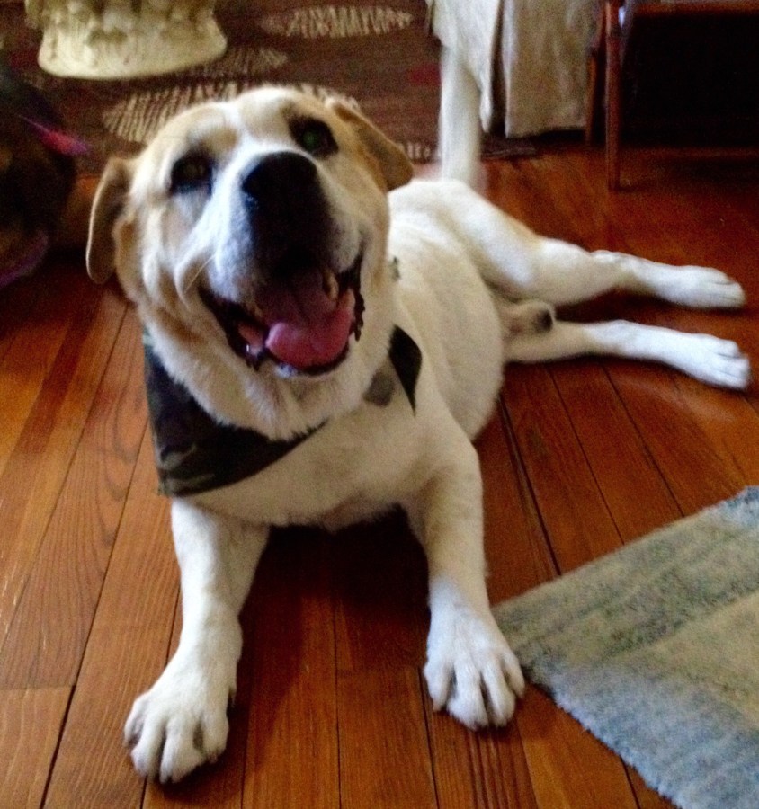 Kirby Todd, a&nbsp;Tribute